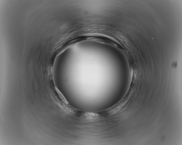 X0000089380429200706221259