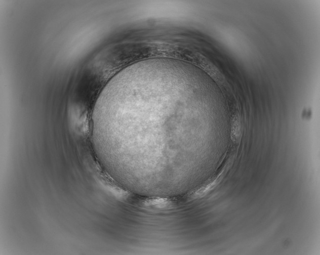 X0000089380431200706221259