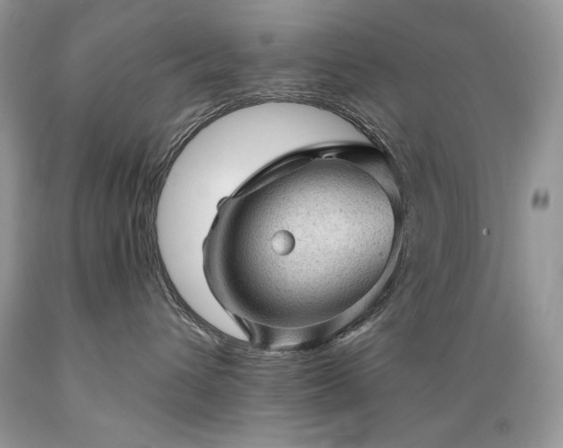 X0000089380432200706221258