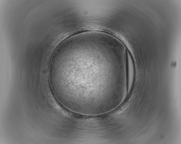 X0000089380433200706221258