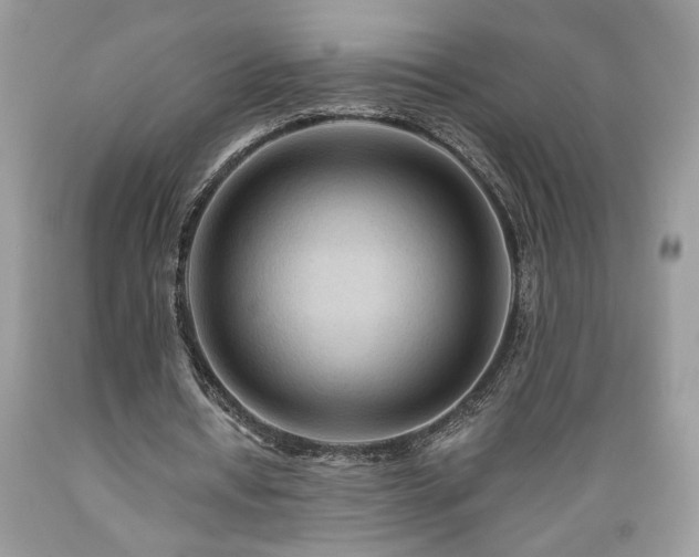 X0000089380434200706221258