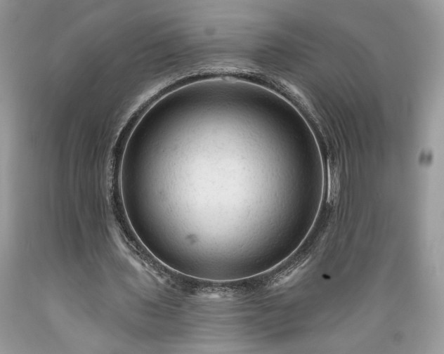 X0000089380435200706221258