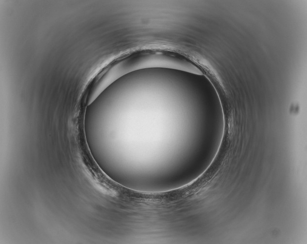 X0000089380436200706221258