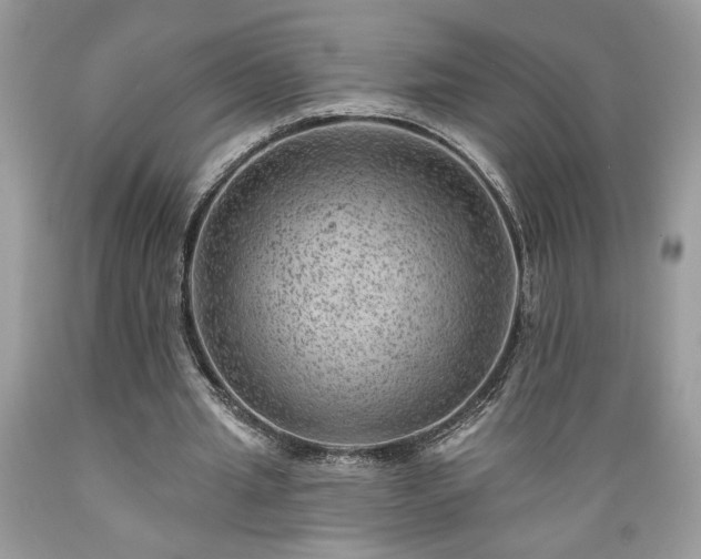X0000089380437200706221258
