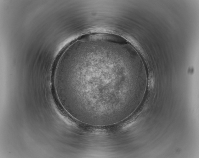 X0000089380438200706221258