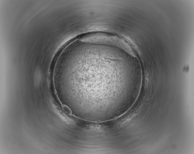 X0000089380439200706221258