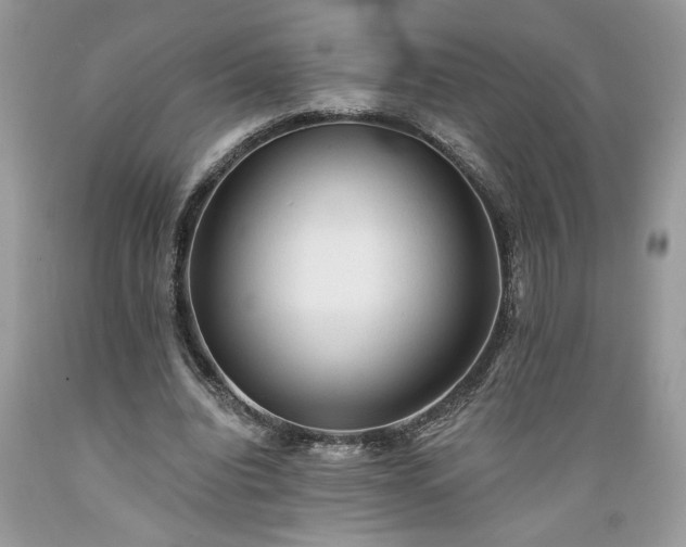 X0000089380440200706221258
