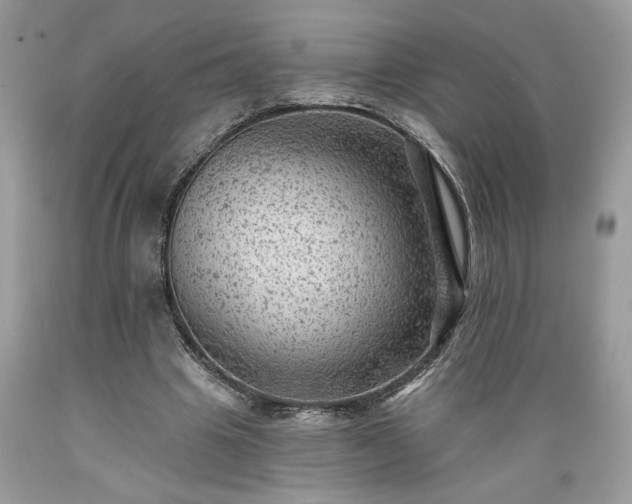 X0000089380441200706221258