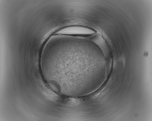 X0000089380442200706221258