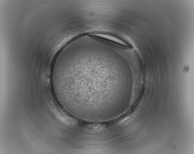 X0000089380443200706221258