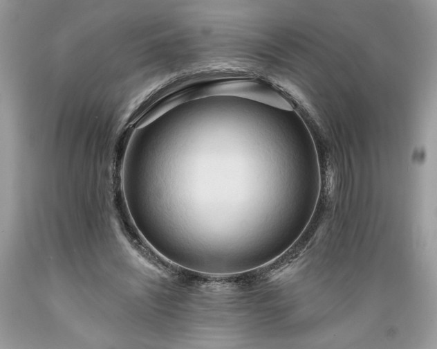 X0000089380444200706221258