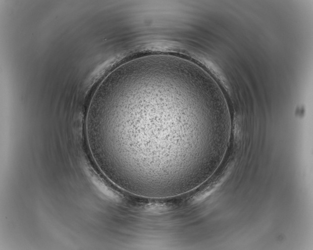 X0000089380445200706221258