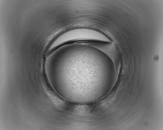 X0000089380446200706221258