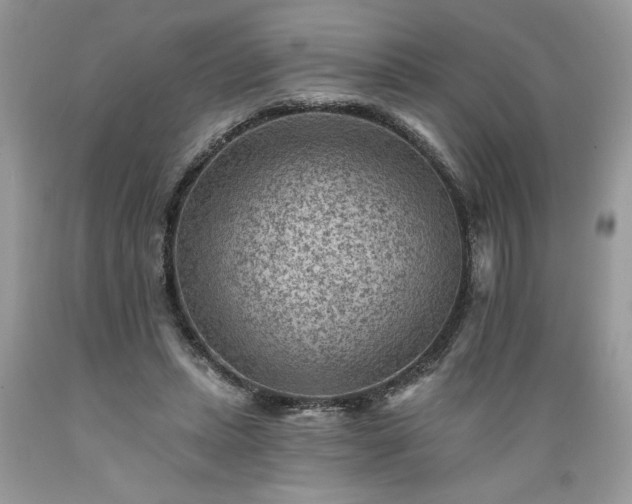 X0000089380447200706221258