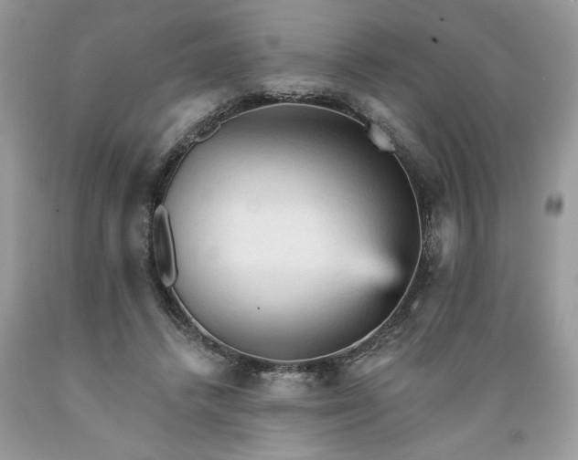 X0000089380448200706221258