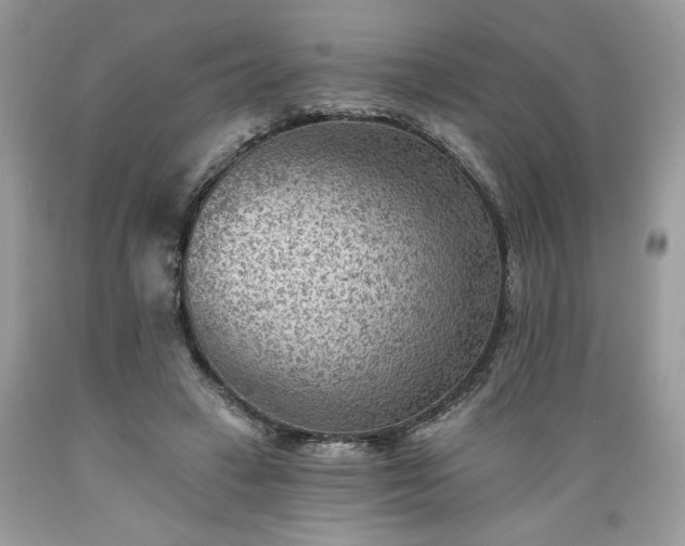 X0000089380449200706221258