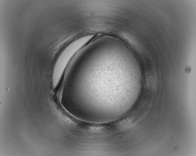X0000089380450200706221258