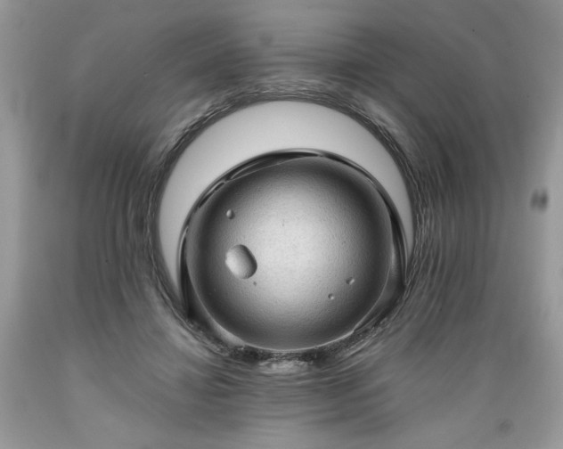 X0000089380452200706221258
