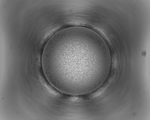 X0000089380453200706221258