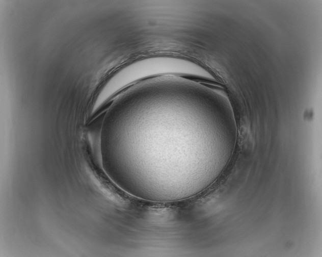 X0000089380454200706221258
