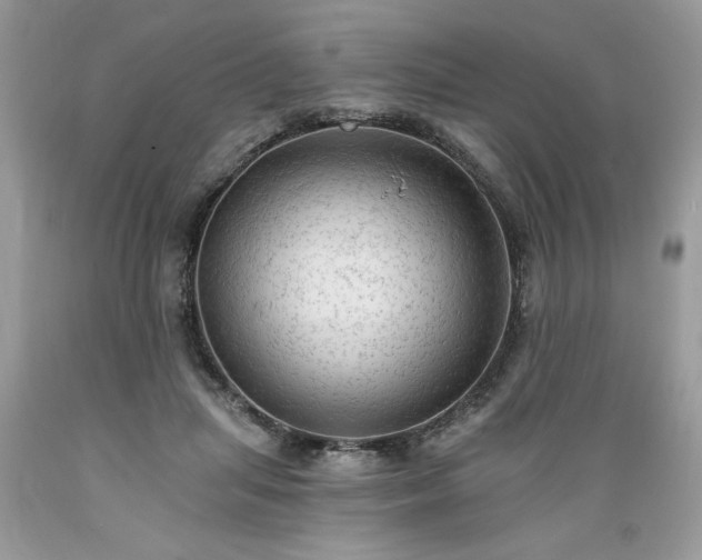 X0000089380455200706221258