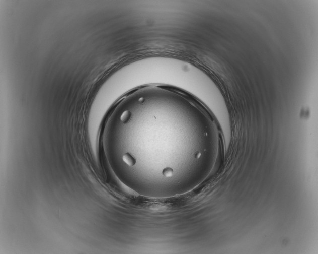 X0000089380456200706221258
