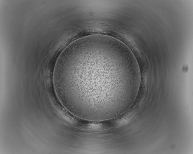 X0000089380457200706221258