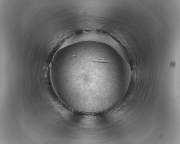 X0000089380458200706221258