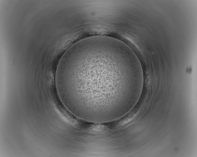 X0000089380459200706221258