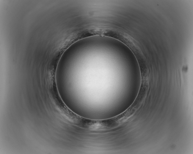 X0000089380460200706221258