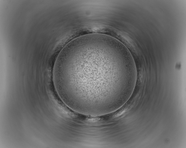 X0000089380461200706221258
