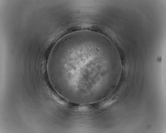 X0000089380462200706221258