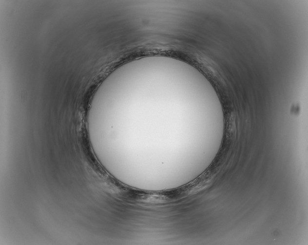 X0000089380463200706221258