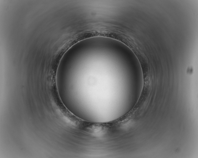 X0000089380464200706221258