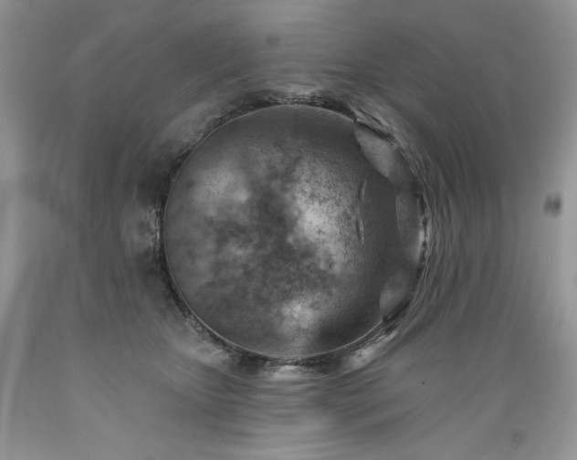X0000089380467200706221258