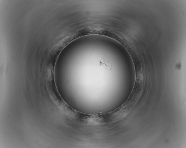 X0000089380468200706221258