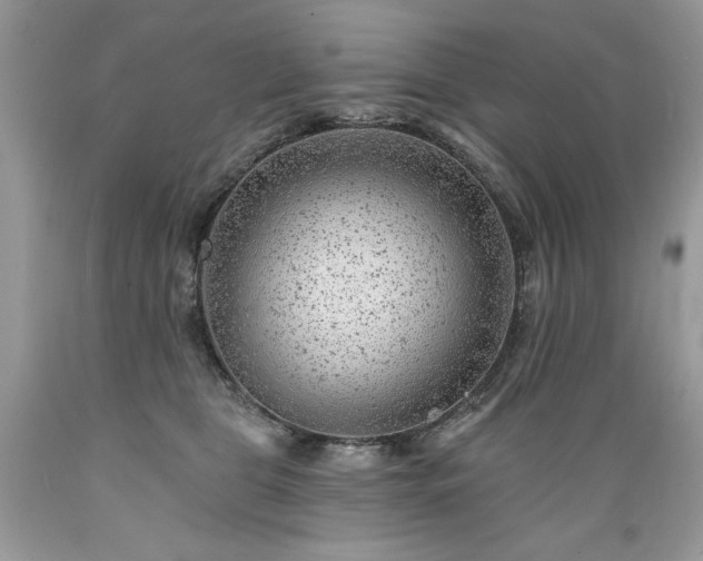 X0000089380469200706221258