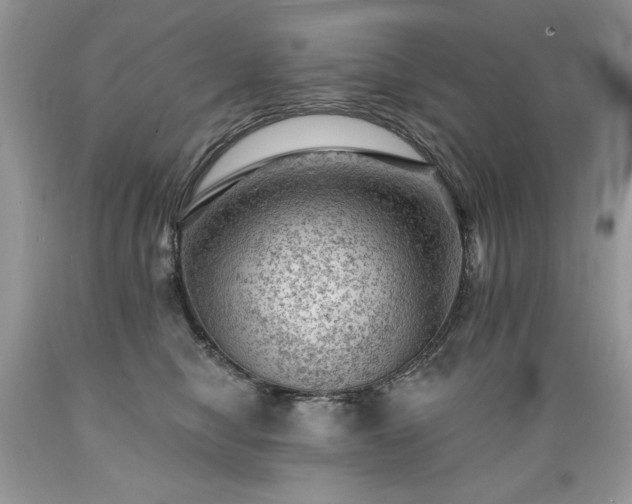 X0000089380470200706221258
