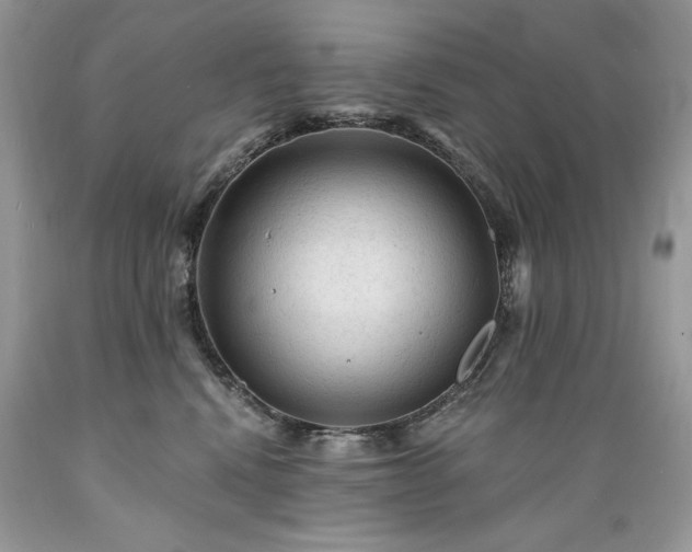 X0000089380472200706221258
