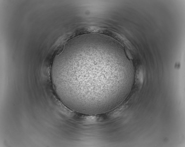 X0000089380473200706221258