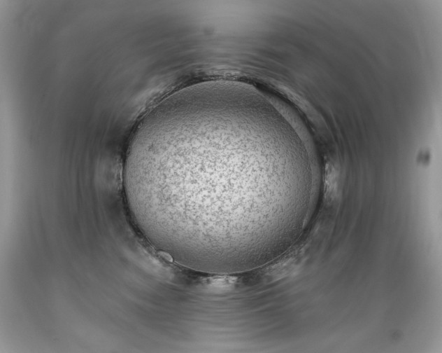 X0000089380474200706221258