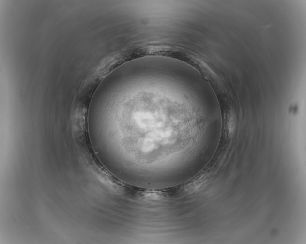 X0000089380475200706221258