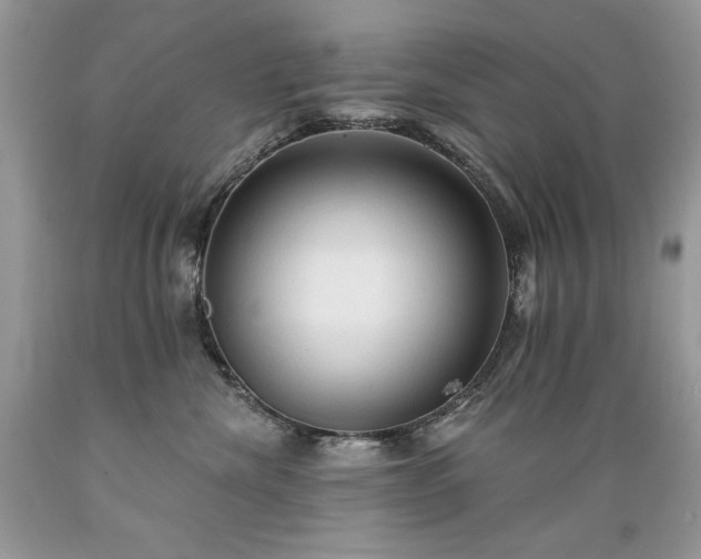 X0000089380476200706221258