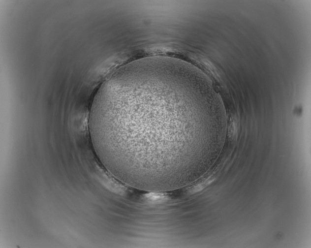 X0000089380477200706221258