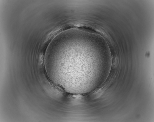 X0000089380478200706221258