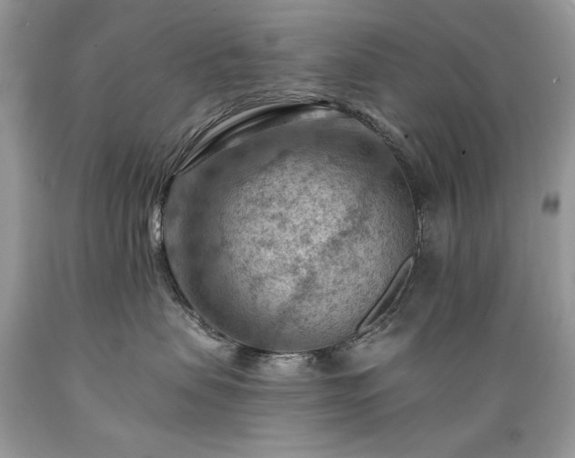X0000089380479200706221258