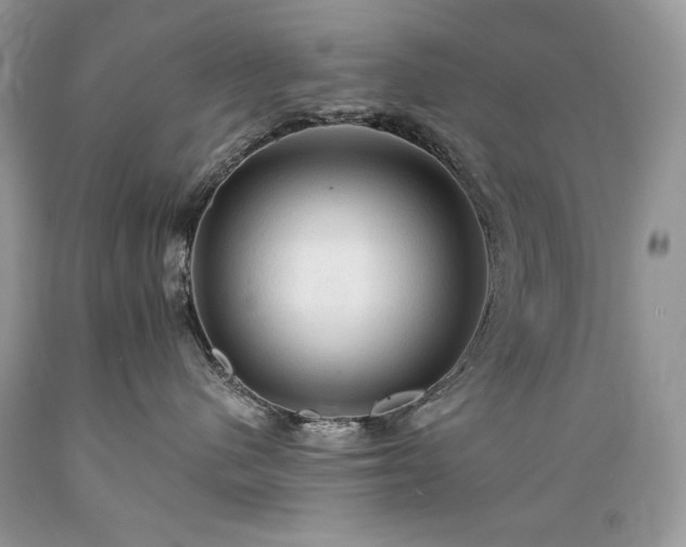 X0000089380480200706221258