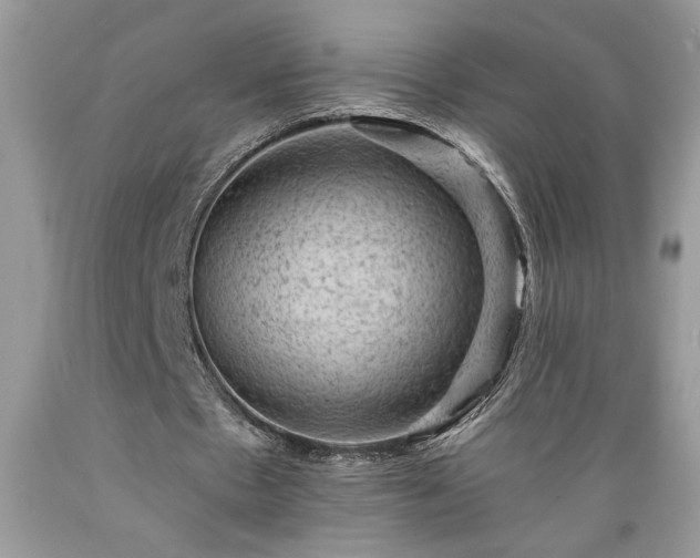X0000089380481200706221258