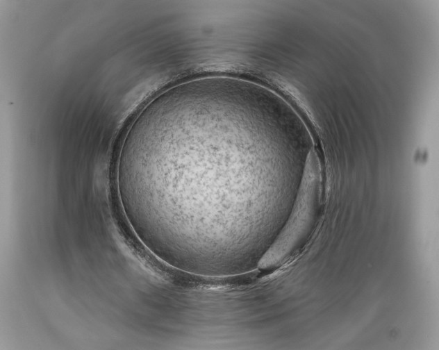 X0000089380482200706221258