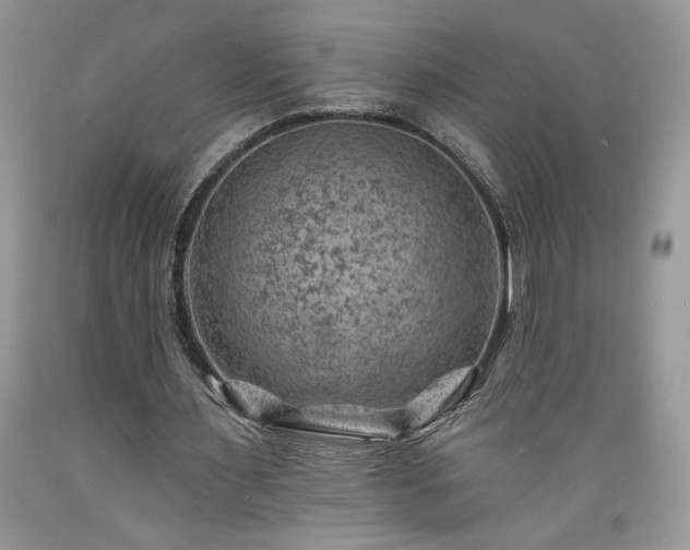 X0000089380483200706221258